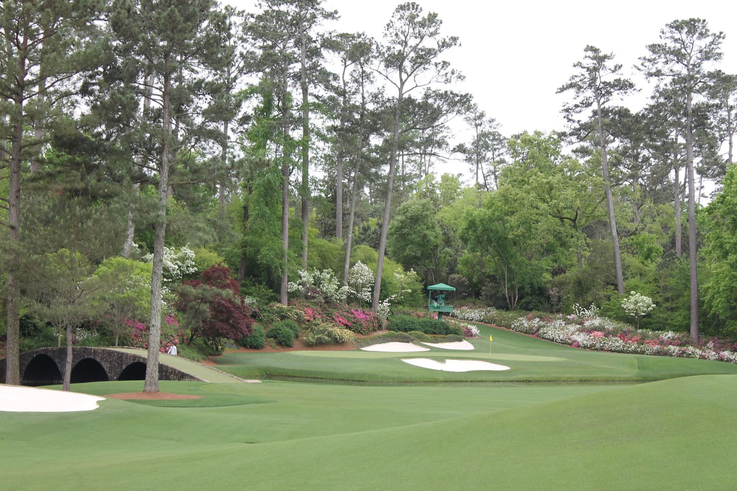 Article gallery image 5