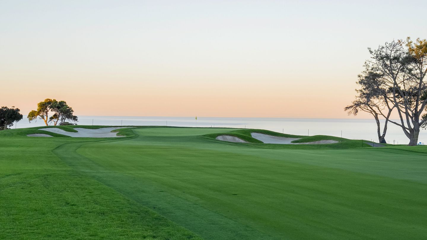 Article gallery image 3