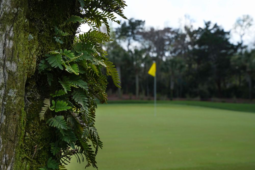 Article gallery image 1