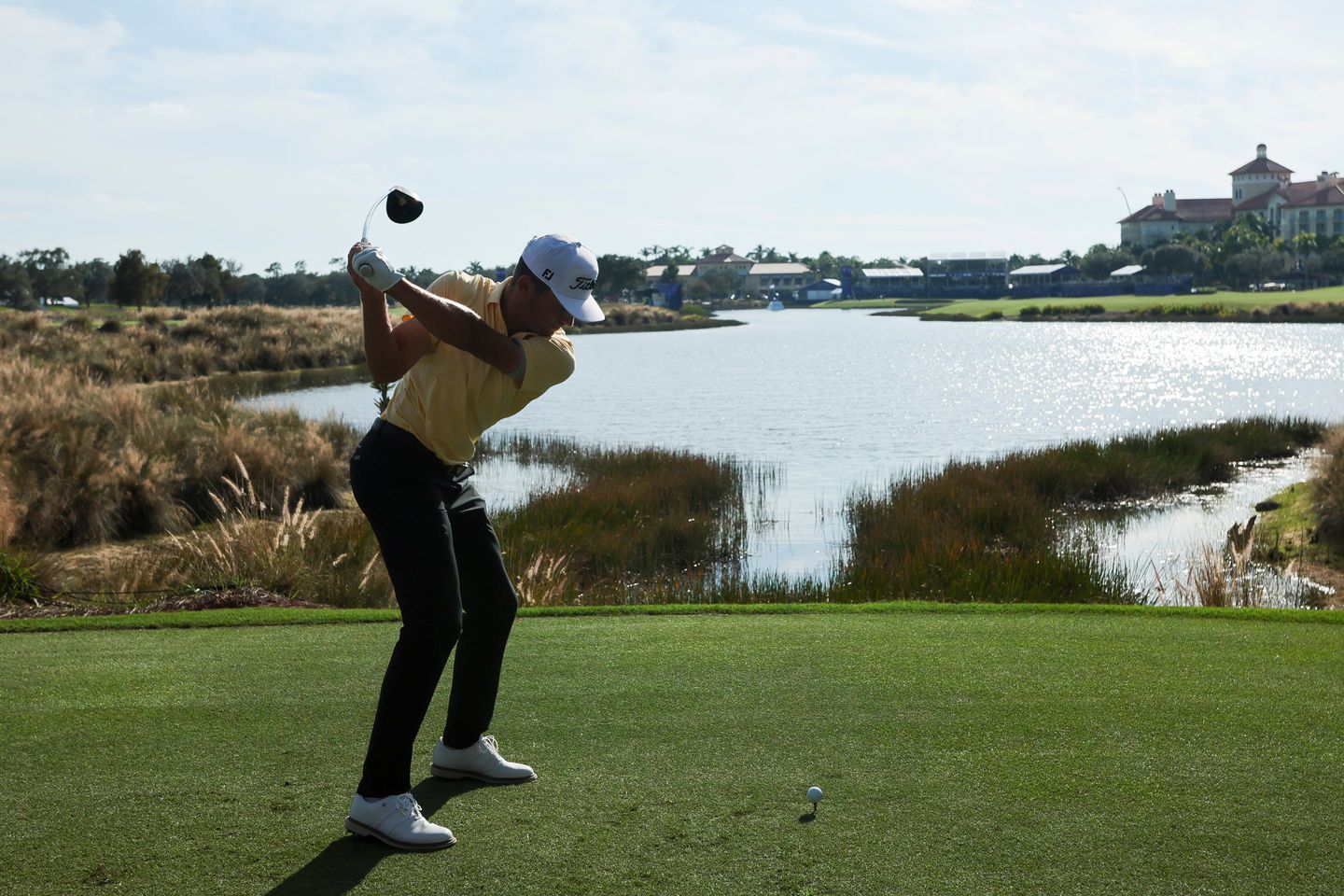 Article thumbnail image